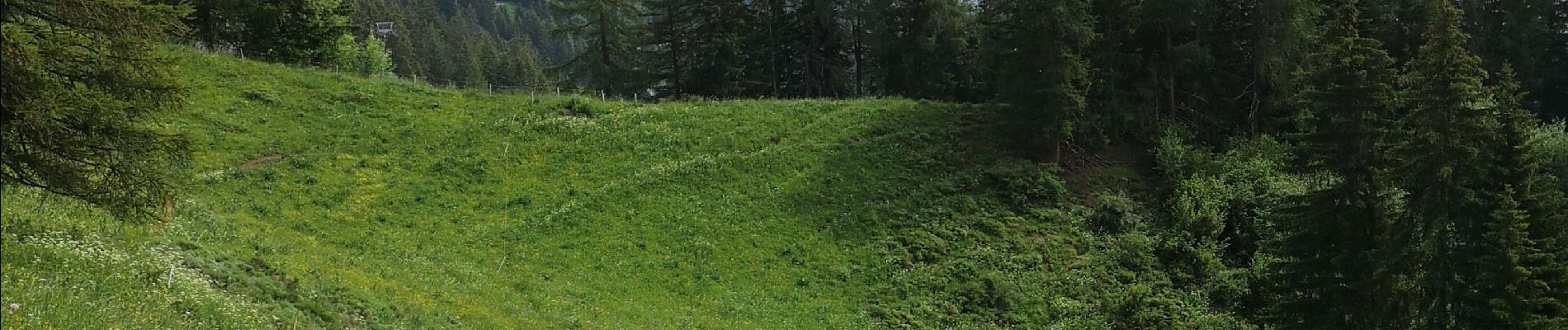 Excursión Marcha nórdica Arbaz - Anzère par les Evouettes  - Photo