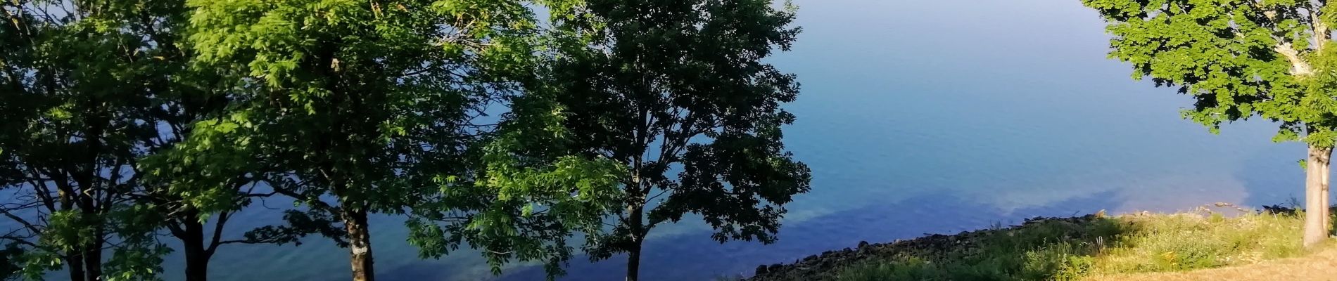 Randonnée Marche Nages - Lac du Laouzas du Camping des Fées du Lac à Villelongue - Photo