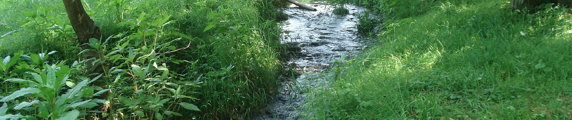 Tocht Te voet Großheubach - Ortswanderweg Großheubach G3 - Photo