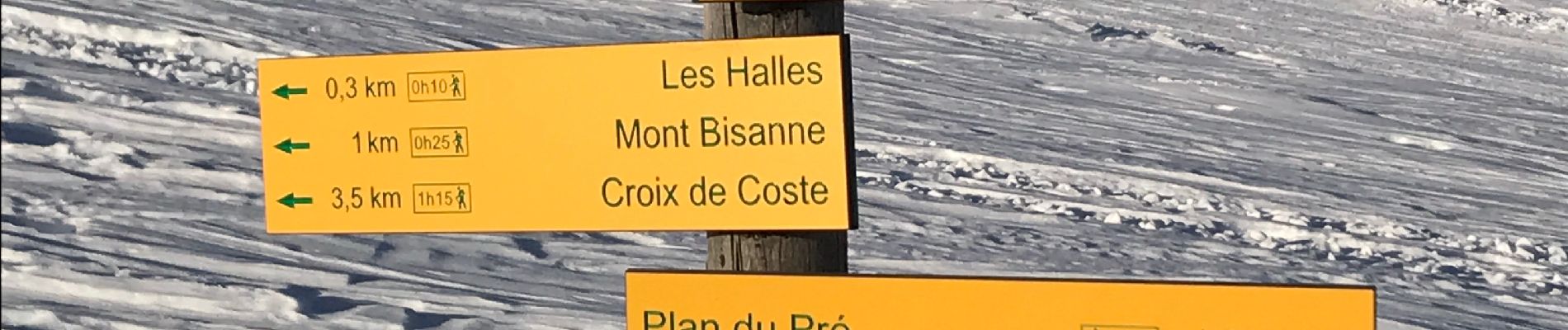 Tocht Sneeuwschoenen Hauteluce - Les Saisies- Croix de Coste - Bizanne - 11.6km - 5h - Photo