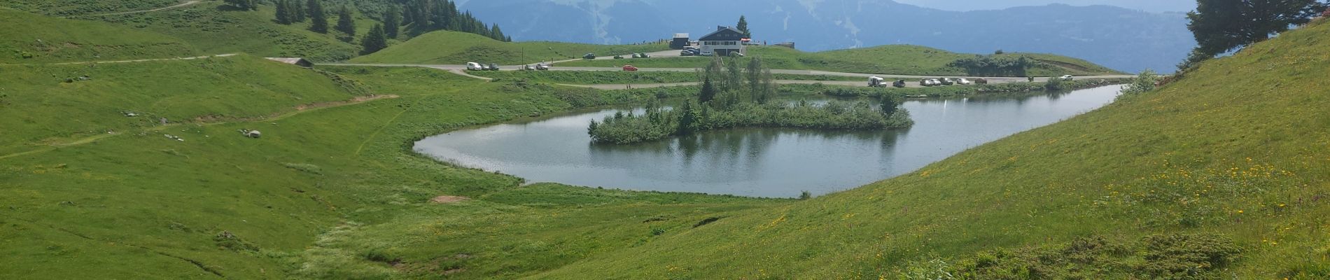 Excursión Senderismo Verchaix - col de joux plane - Photo