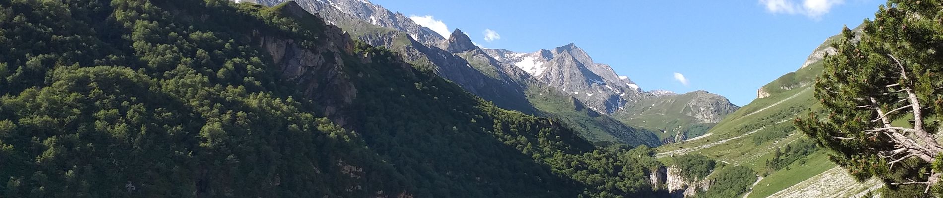 Percorso Marcia Pralognan-la-Vanoise - Pralognan petit Mont Mont-blanc  - Photo