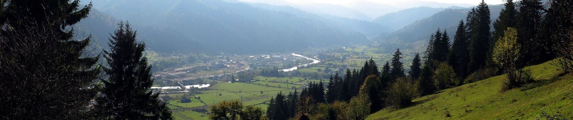 Percorso A piedi Unknown - Lunca Bradului (DN15)-Șaua Negoiu - Photo