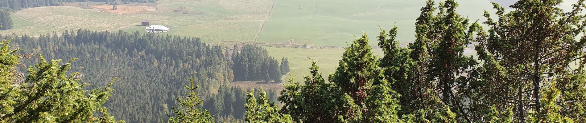 Tour Wandern Bois-d'Amont - la Roche du feux - Photo