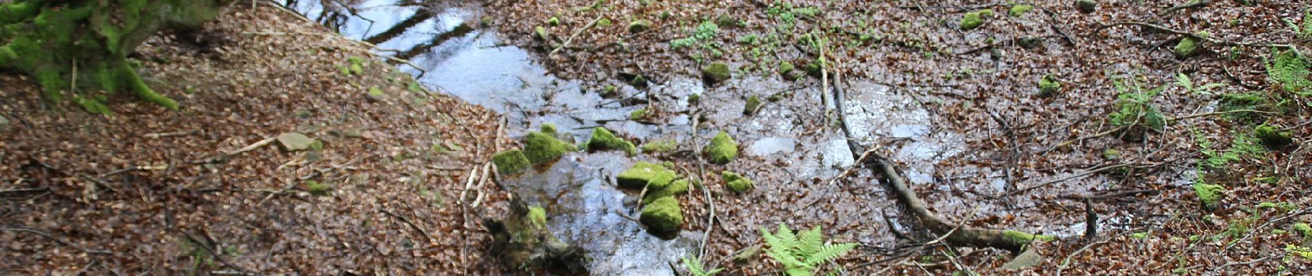 Tour Zu Fuß Kleinkahl - Ortswanderweg Kleinkahl 2 - Photo