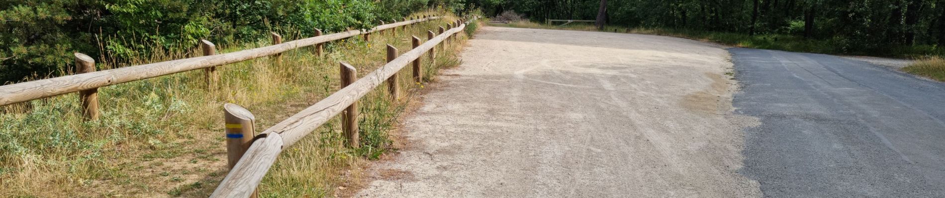 Randonnée Marche Étréchy - Forêt Régionale d'Etréchy - Photo