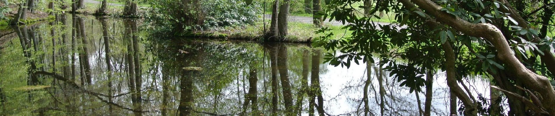 Trail On foot Renkum - Dunoroute - Photo