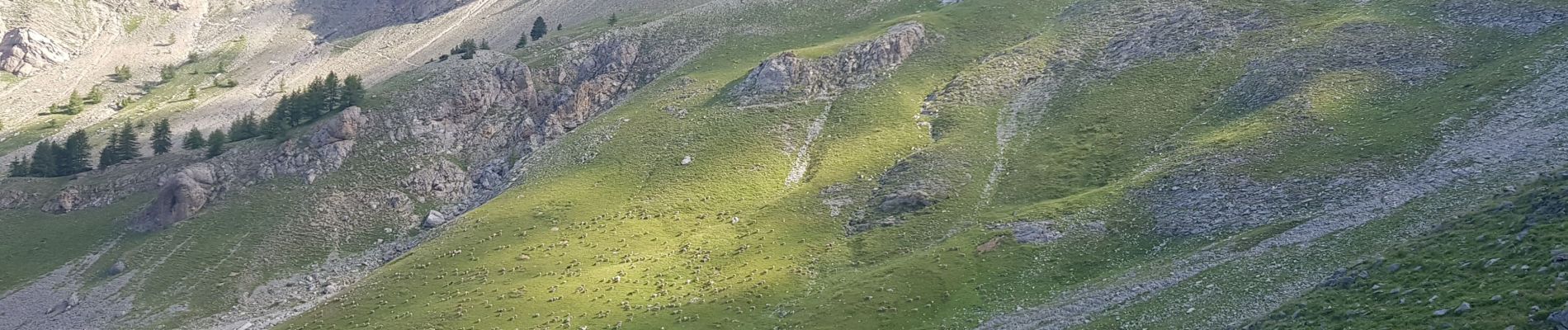 Tocht Stappen Allos - Lac Allos- Col petite cayole - Pas du Lausson - Photo