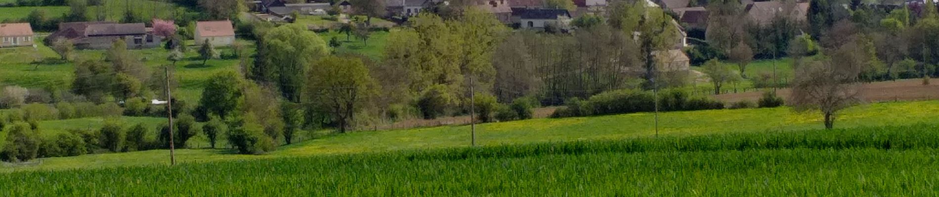 Randonnée Marche Senantes - Senantes - Photo