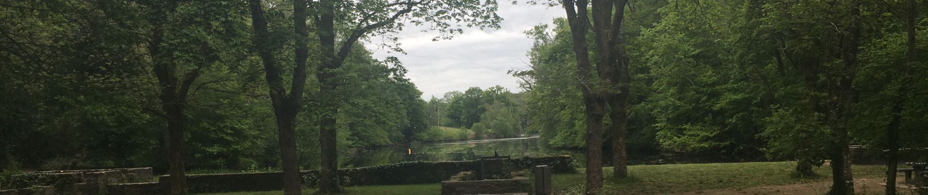 Excursión Senderismo La Chapelle-sur-Erdre - La Chapelle sur Erdre - 13,5 - Photo