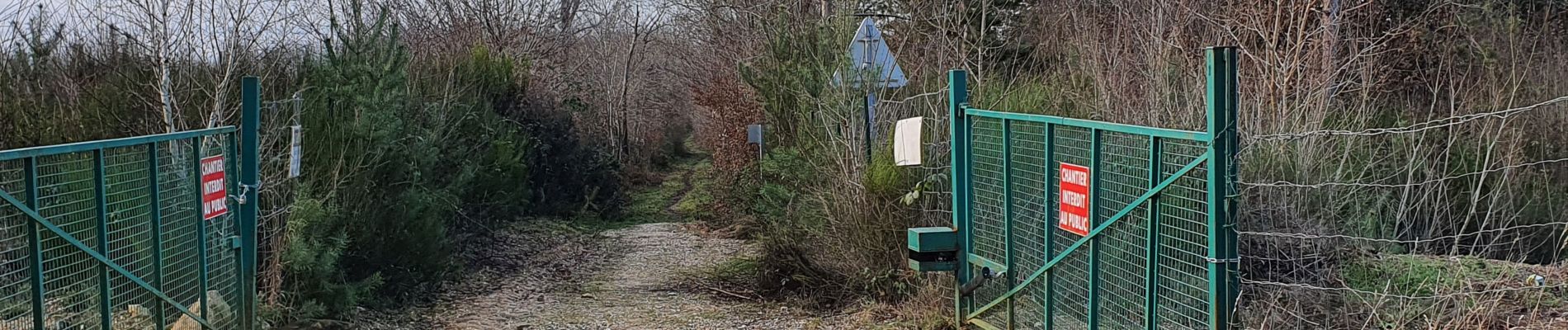 Tour Wandern Martot - Forêt Bord Martot 10 km - Photo