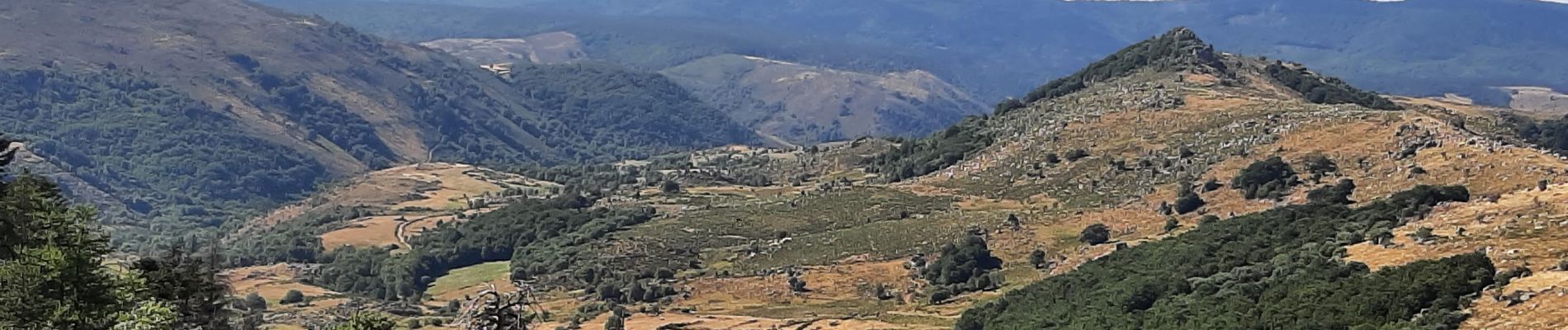 Tour Wandern Pont de Montvert - Sud Mont Lozère - Le mont finiel depuis finirl - Photo