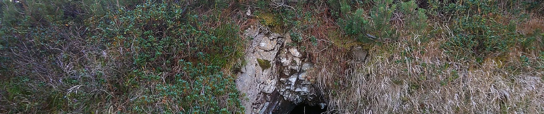 Percorso A piedi Lozzo di Cadore - Anello dei Róndoi - Photo