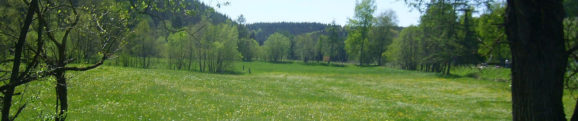 Randonnée A pied Lichtenfels - Lichtenfelser Panoramaweg - Photo