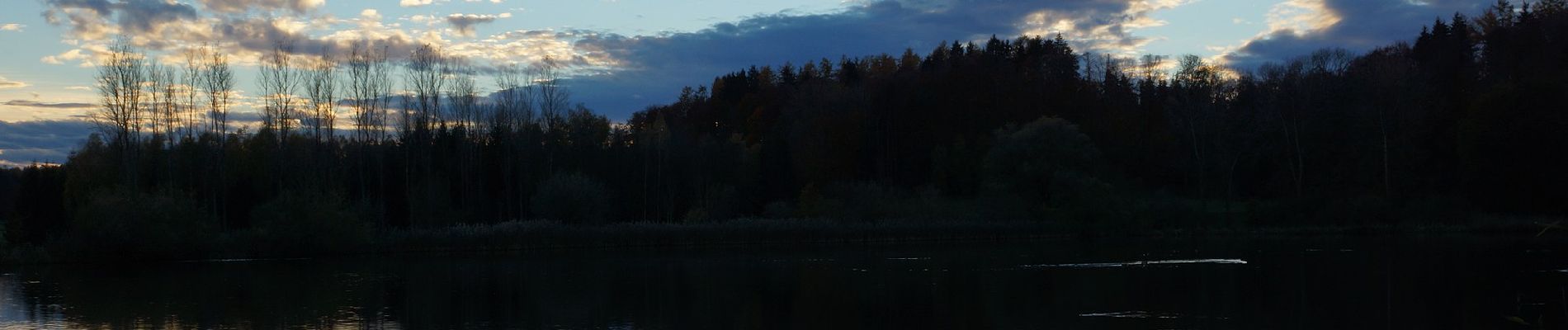 Tocht Te voet Wiesenbach - Tour 10 - Vogelparadies Oberegger Stausee - Photo