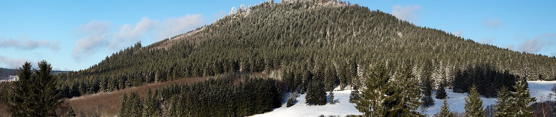 Tocht Te voet Steinbach-Hallenberg - Nr. 5 Rundweg Großer Hermannsberg - Photo