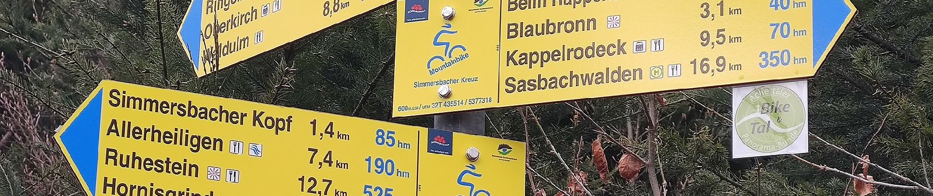 Randonnée A pied Lautenbach - Kappelrodecker Hexensteig - Photo
