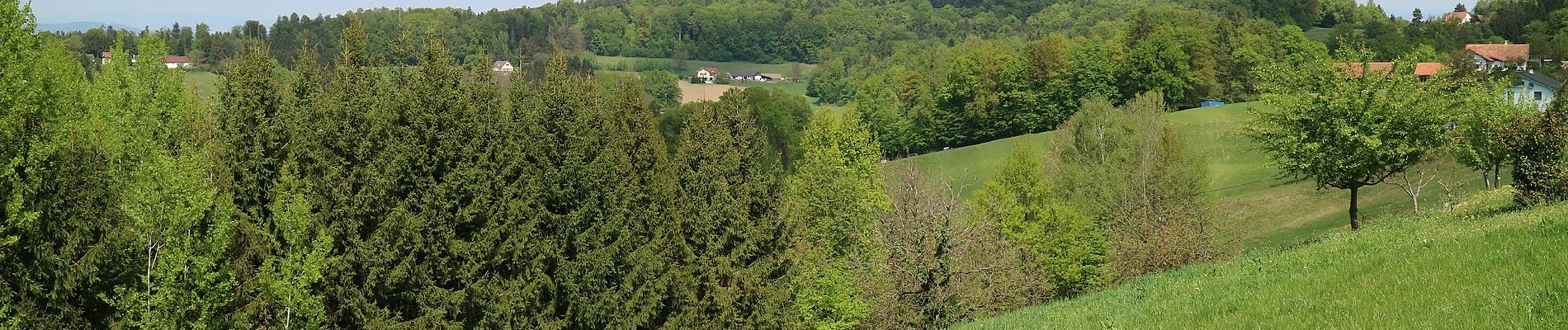 Randonnée A pied Heiligenkreuz am Waasen - Markusweg - Photo