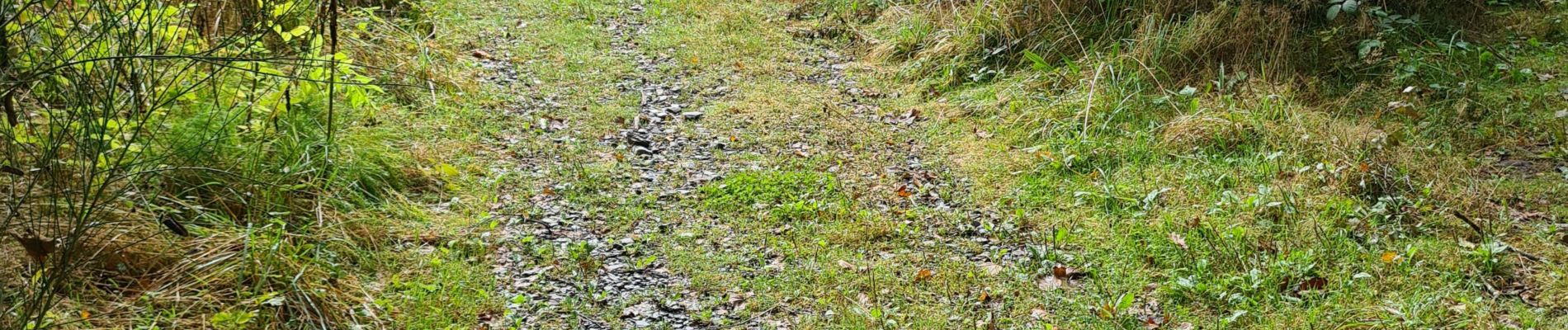 Excursión Senderismo Paliseul - boucle Cul du Péreu par le Pont de Prêtre par le Pont de Prêtre  - Photo