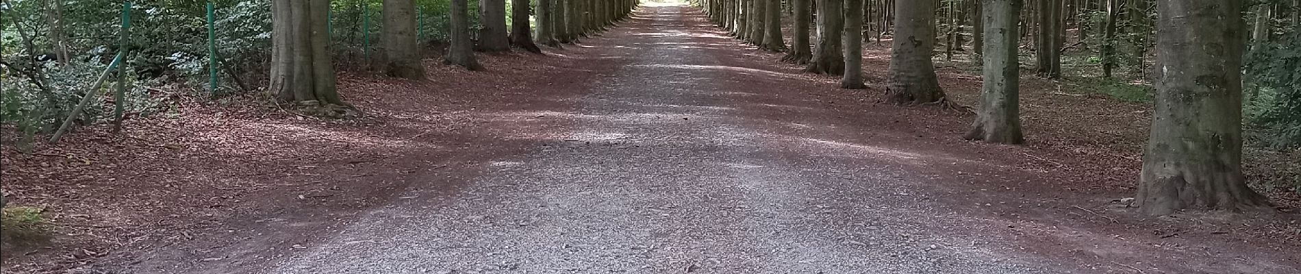 Tour Wandern Modave - Château de Modave - Photo