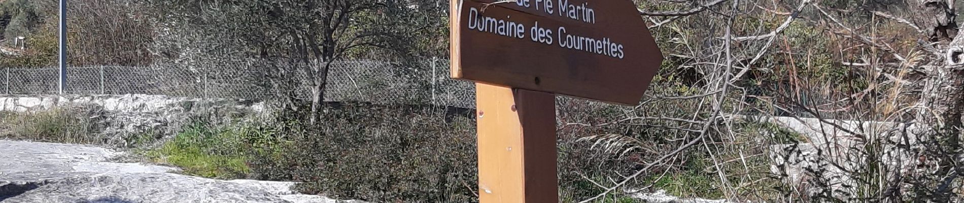 Trail Walking Tourrettes-sur-Loup - 2022-02-03 trace pie martin - Photo