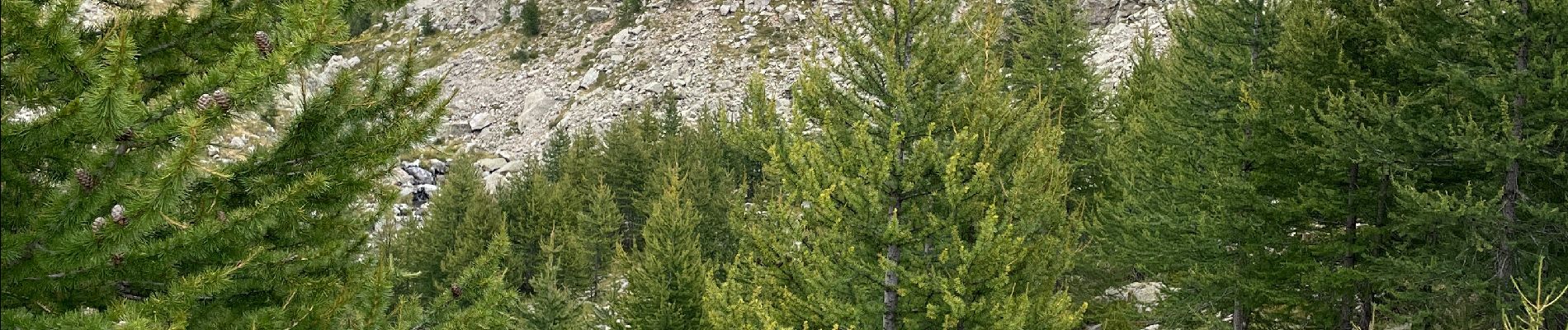 Tour Wandern Belvédère - Refuge de Nice à refuge de la madone de fenestre  - Photo