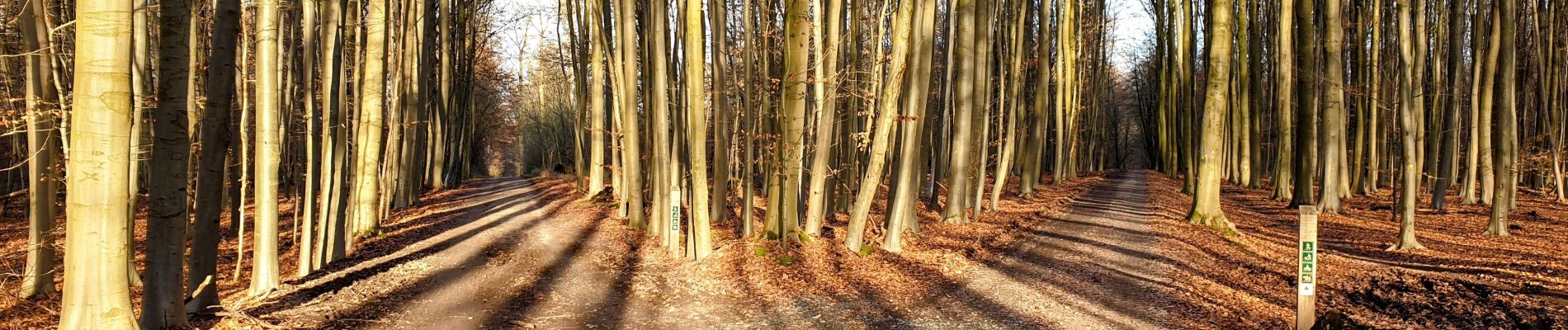 Tocht Stappen Oudergem - Hoeilaert - Watermael - Photo