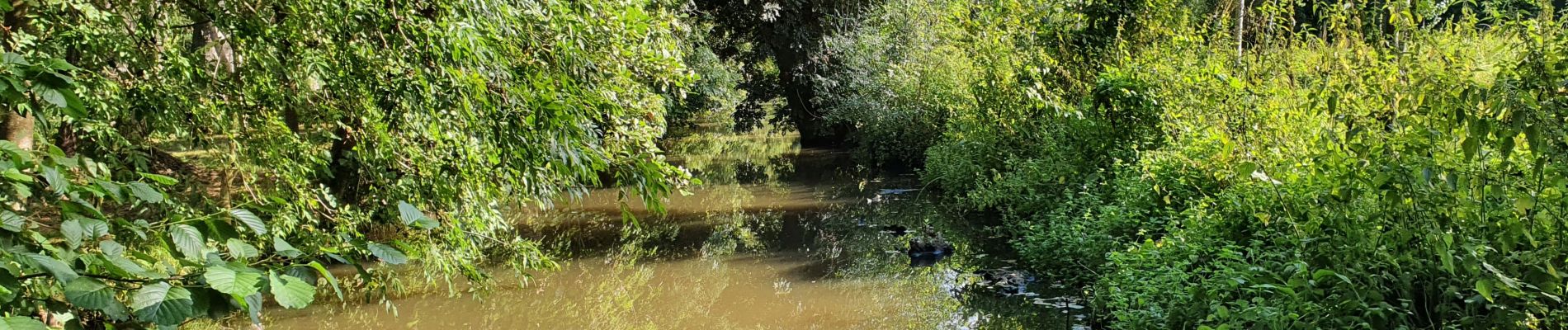 Tocht Stappen Magné - Magné - Sèvre - Photo