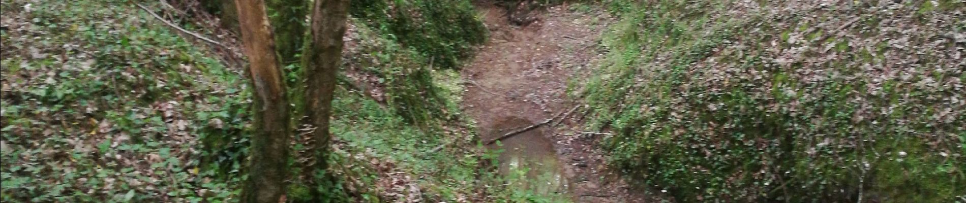 Tocht Stappen Sauveterre-de-Guyenne - sauveterre de g - Photo