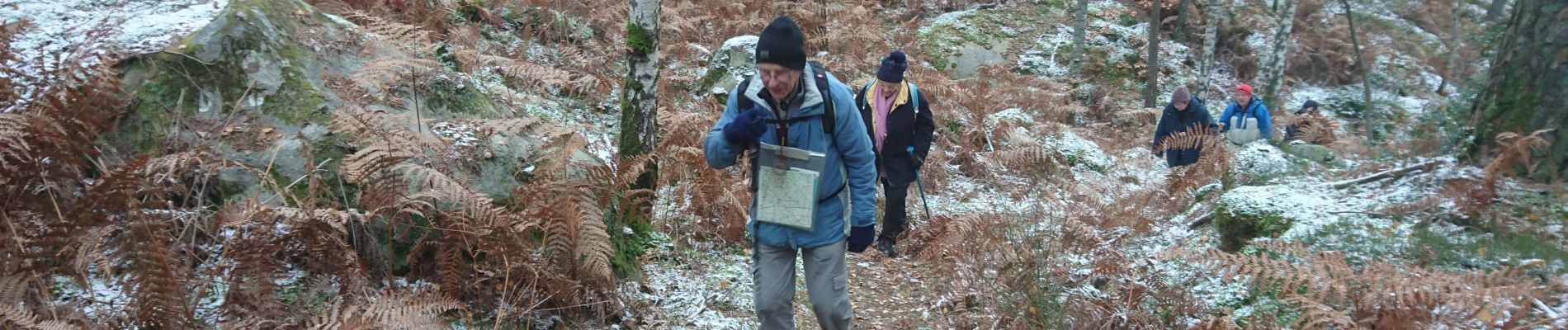 Trail Walking Fontainebleau - croix de Souvray 16 décembre 2022  - Photo