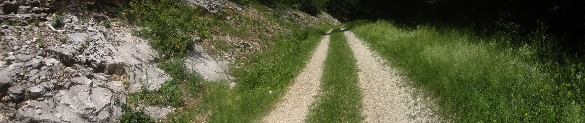 Trail Mountain bike Autrans-Méaudre en Vercors - autrans 10 2 - Photo