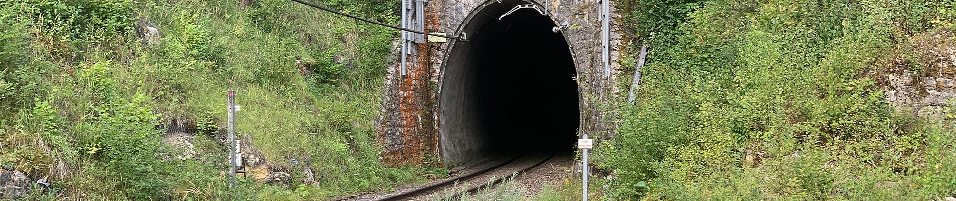 Randonnée A pied Le Poizat-Lalleyriat - Sentier des Ecureuils - Photo