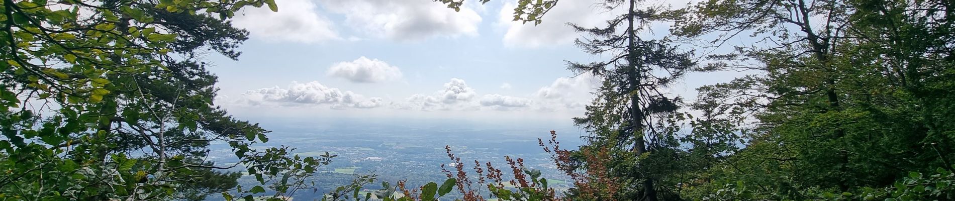 Tocht Stappen Rüttenen - Weissenstein - Photo