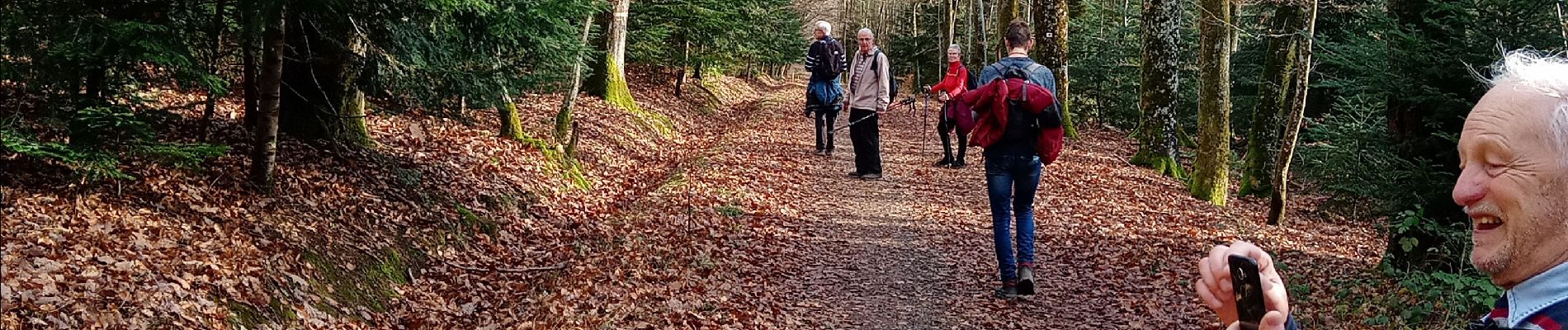 Randonnée Marche Soultz-Haut-Rhin - Wuenheim (Gros chêne)-Berrwiller (9/01/2020) - Photo