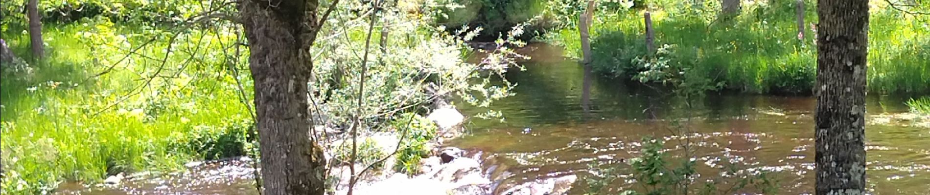 Tocht Stappen Termes - Termes Aumont aubrac - Photo