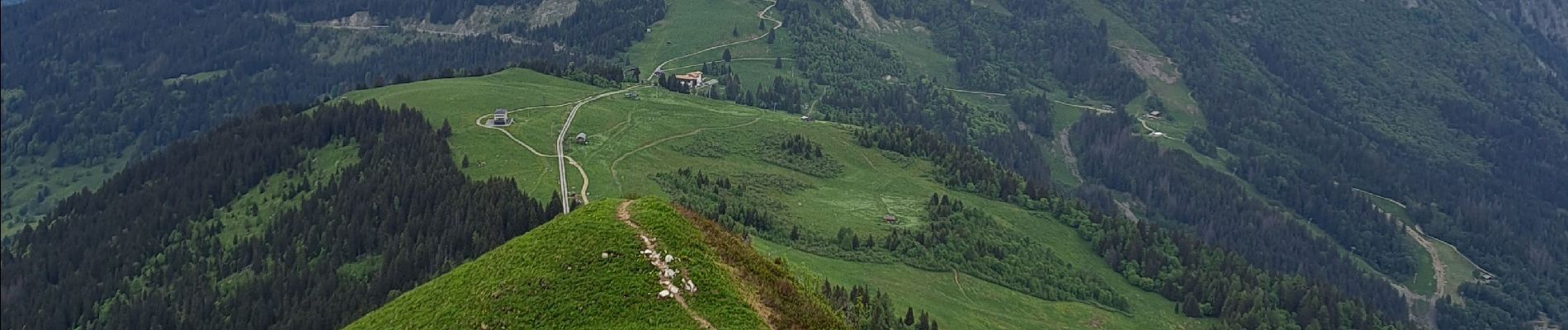 Tour Wandern Les Houches - Maison Neuve (Les Houches) boucle par Bellevue et Mont  Lachat - Photo