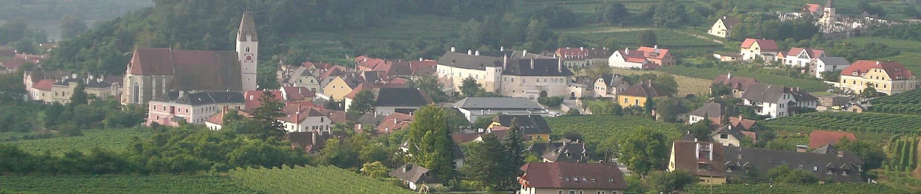 Tocht Te voet Gemeinde Weißenkirchen in der Wachau - Welterbesteig Wachau Etappe 3 - Photo