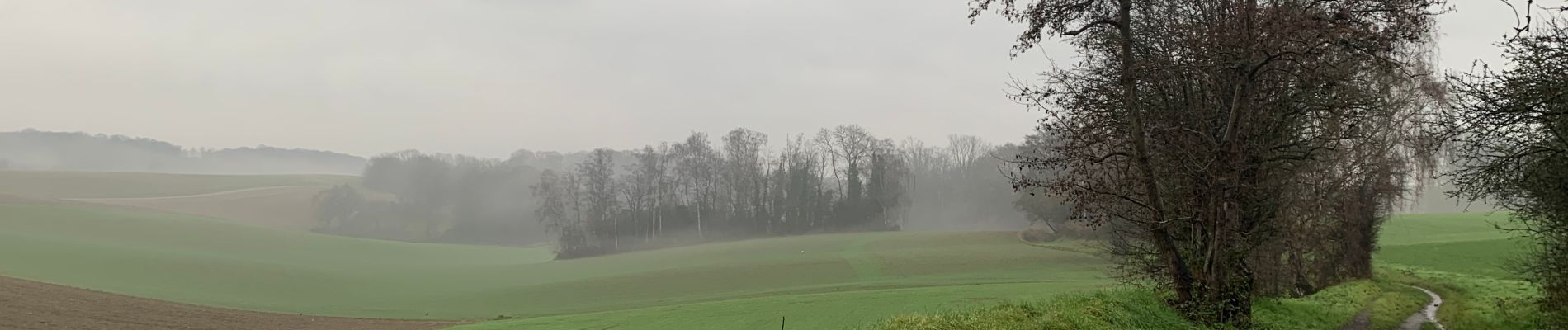 Randonnée Marche Wavre - Autours des champs - Photo