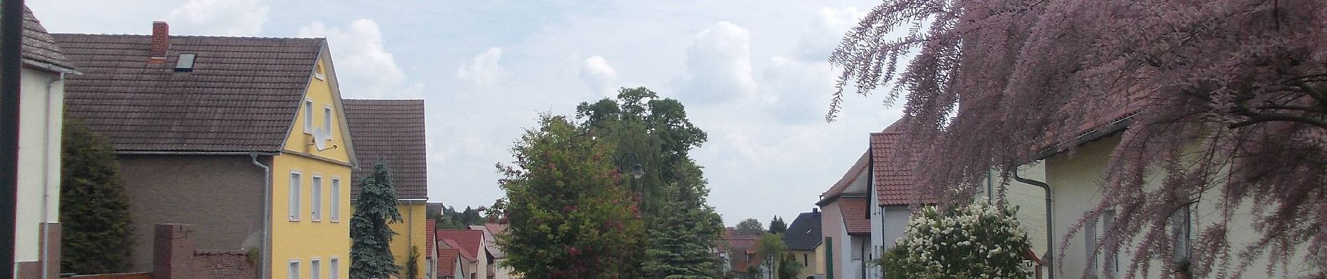 Tour Zu Fuß Balgstädt - Rundweg Hirschroda - Photo