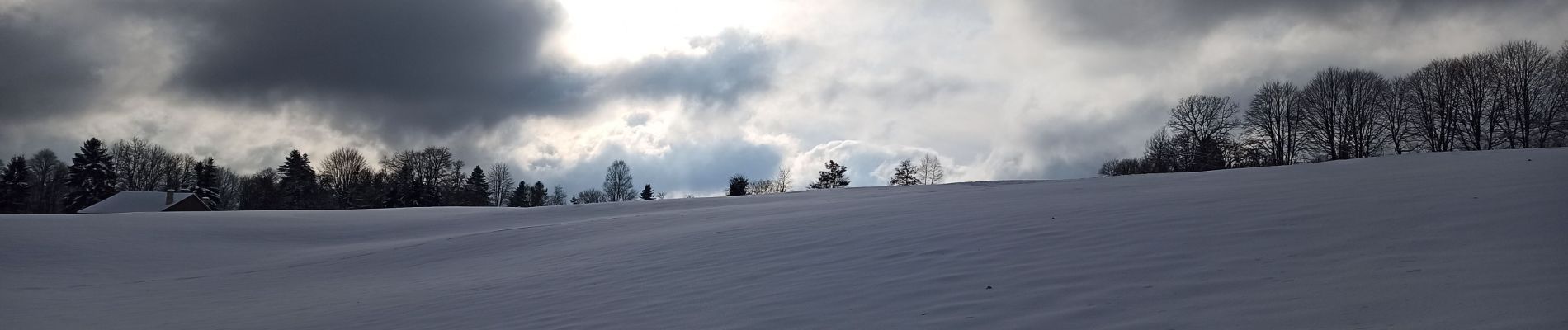 Trail Touring skiing Vagney - 21-01-23 Srn haut du tôt aprem - Photo