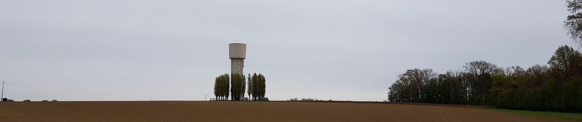 Percorso Marcia Liegi - Rocourt - Ans - Awans - Rocourt  - Photo