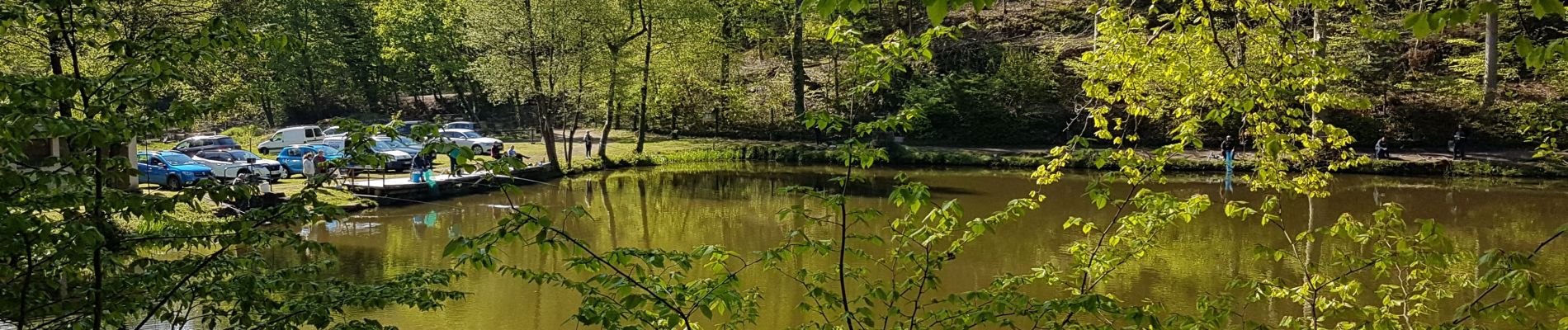 Tour Wandern Zabern - Saverne : rocher Rappenfels - grotte St Vit - château Greifenstein - Photo