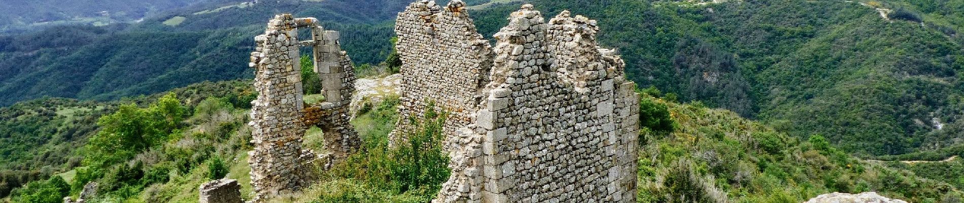 Tour Wandern Saint-Laurent-du-Pape - Château de Pierre Gourde 13km - Photo