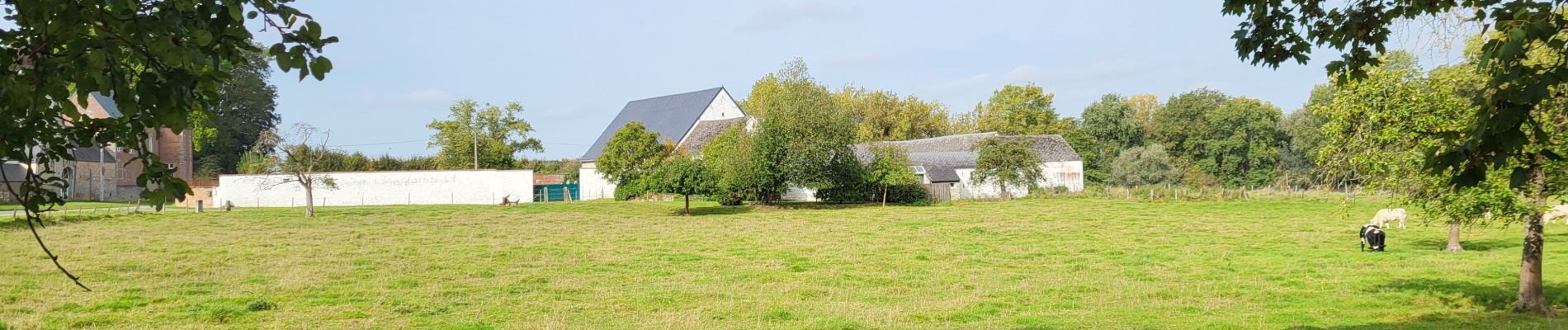 Tour Wandern La Bruyère - Emines 280923 - Photo