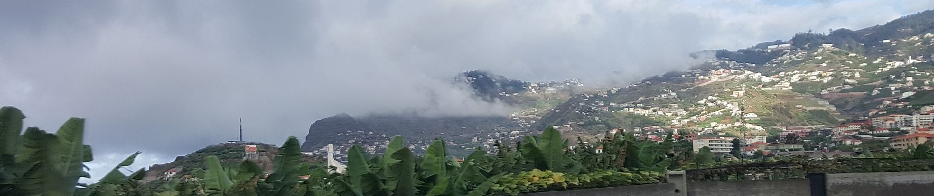 Tocht Te voet São Martinho - Levada dos Piornais - Photo