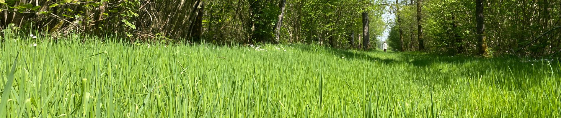 Tocht Stappen Florennes - Balade Morville 2 - Photo