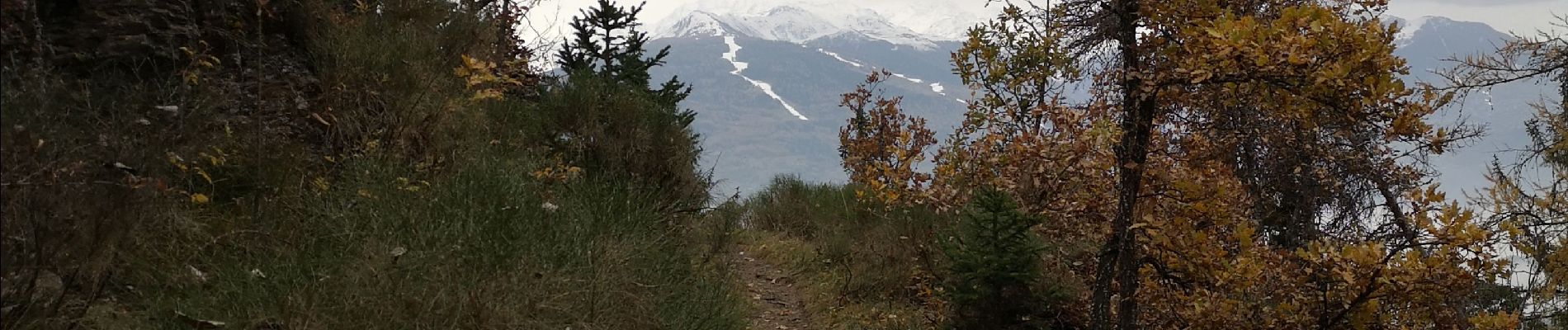 Trail Nordic walking Arbaz - Anzère  - Photo