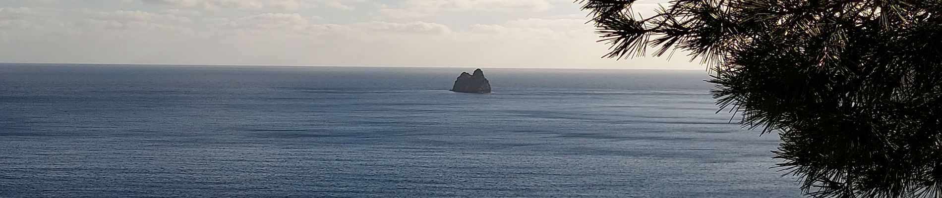 Tour Wandern La Seyne-sur-Mer - Forêt de Janas rando 9 02 - Photo