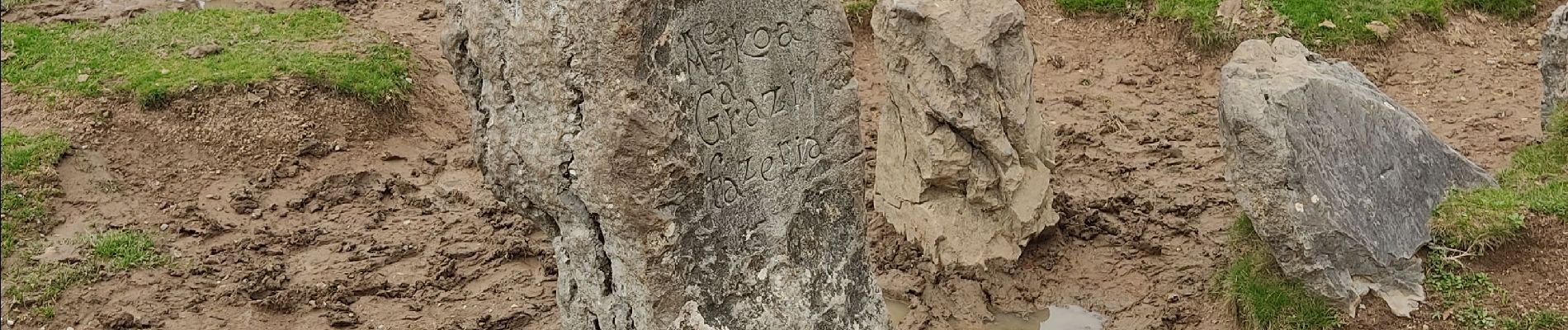 Tocht Stappen Orbaizeta - Pyrénées 3 - Photo