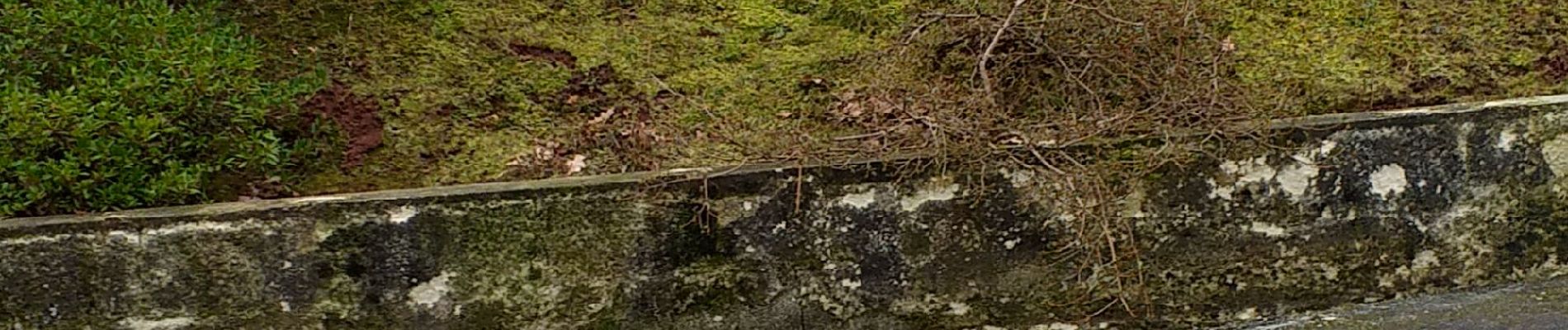 Randonnée Marche Brive-la-Gaillarde - Puybaret autour de chez moi - Photo